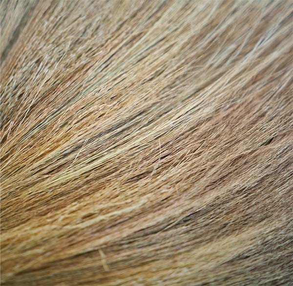 Fibras de agave para la fabricación de productos de uso diario. 